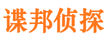 昭阳市调查公司